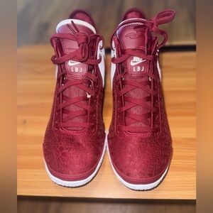 NEW Nike Zoom LeBron NXXT Gen